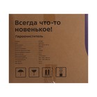 Пароочиститель Kitfort КТ-908, 1500 Вт, 1.5 л, 4 бара, шланг 1.5 м, шнур 2.5 м, зелёный - фото 51472532