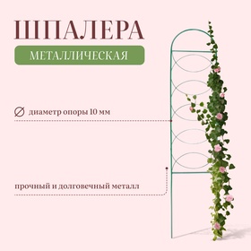 Шпалера, 170 × 34 × 1 см, металл, зелёная, «Кружок»