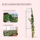 Шпалера, 170 × 34 × 1 см, металл, зелёная, «Кружок» 3671316