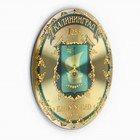 Магнит «Калининград. Герб» - фото 20557588