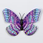 Магнит пластик "Бабочка с двойными крылышками" МИКС 5х7 см - Фото 2