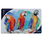 Карандаши акварельные 36 цветов Kite, с кисточкой, гриф 4 мм, ударопрочные, в металлическом пенале - Фото 1