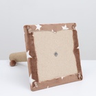 Когтеточка «Столбик», 54×30×30 см, на подставке, джут, цвет МИКС - Фото 11