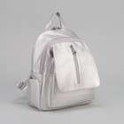 Рюкзак молодёжный, отдел на молнии, 4 наружных кармана, цвет серебристый - Фото 1