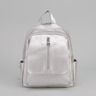 Рюкзак молодёжный, отдел на молнии, 4 наружных кармана, цвет серебристый - Фото 2