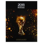 Тетрадь А5, 240 листов на кольцах «ЧМ по футболу 2018. Золотой кубок», твёрдая обложка - Фото 1