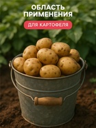 Удобрение органоминеральное «Буйские удобрения», картофельное, 10 кг - Фото 3