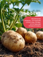 Удобрение органоминеральное «Буйские удобрения», картофельное, 10 кг - Фото 6