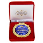 Медаль в бархатной коробке «Золотой директор», d=7 см - фото 14846747