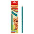 Карандаш чернографитный CALLIGRATA, зелёный пластиковый, НВ - Фото 2