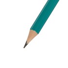 Карандаш чернографитный CALLIGRATA, зелёный пластиковый, НВ - Фото 4