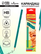 Карандаш чернографитный CALLIGRATA, зелёный пластиковый, НВ - Фото 1