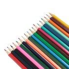 Карандаши Calligrata «Принцесса», 18 цветов, деревянные, шестигранные - Фото 3