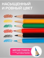 Карандаши Calligrata «Принцесса», цветные, 6 цветов, деревянные, шестигранные, мини - Фото 3