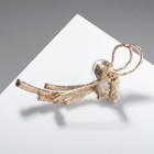 Брошь «Завиток» сияние, цвет белый в золоте - Фото 2