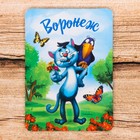Магнит «Воронеж. Кот» - Фото 1