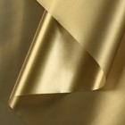 Пленка для цветов матовая "Нуар", золотой металлик, 0,5 х 10 м - Фото 1