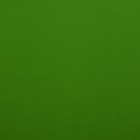 Пленка для цветов матовая "Нуар", зеленый, 0,5 х 10 м - Фото 3