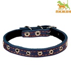 Ошейник кожаный на синтепоне, безразмерный, 37×1.5 см, ОШ 21-31 см, синий - Фото 2