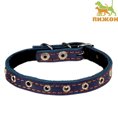 Ошейник кожаный на синтепоне, безразмерный, 37×1.5 см, ОШ 21-31 см, синий