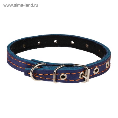 Ошейник кожаный на синтепоне, безразмерный, 37×1.5 см, ОШ 21-31 см, синий