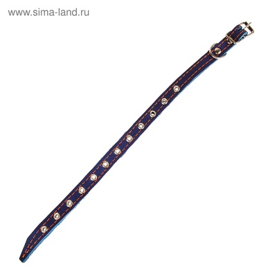 Ошейник кожаный на синтепоне, безразмерный, 37×1.5 см, ОШ 21-31 см, синий