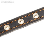 Ошейник кожаный на синтепоне, безразмерный, 37×1.5 см, ОШ 21-31 см, синий - Фото 5