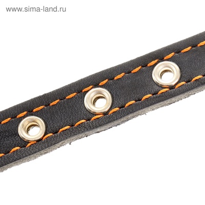 Ошейник кожаный на синтепоне, безразмерный, 37×1.5 см, ОШ 21-31 см, синий