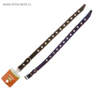 Ошейник кожаный на синтепоне, безразмерный, 37×1.5 см, ОШ 21-31 см, синий - Фото 6