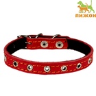 Ошейник кожаный на синтепоне, безразмерный, 37 х 1,5 см, ОШ 21-31 см, красный - Фото 2