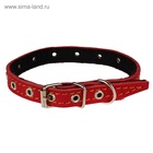 Ошейник кожаный на синтепоне, безразмерный, 37 х 1,5 см, ОШ 21-31 см, красный - Фото 3