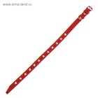 Ошейник кожаный на синтепоне, безразмерный, 37 х 1,5 см, ОШ 21-31 см, красный - Фото 4