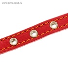 Ошейник кожаный на синтепоне, безразмерный, 37 х 1,5 см, ОШ 21-31 см, красный - Фото 5