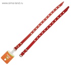 Ошейник кожаный на синтепоне, безразмерный, 37 х 1,5 см, ОШ 21-31 см, красный - Фото 6