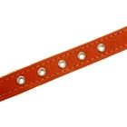 Ошейник кожаный на синтепоне, 45 х 2 см,  ОШ 25-35 см, оранжевый - фото 8395861
