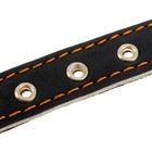 Ошейник кожаный на синтепоне, 46 х 2 см,  ОШ 25-35 см, синий - фото 20832409