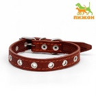 Ошейник кожаный однослойный безразмерный, 45×2 см, ОШ 18-39 см, коричневый - Фото 2