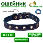 Ошейник однослойный безразмерный, 45×2 см, ОШ 18-39 см, кожа, синий - Фото 1