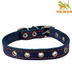 Ошейник однослойный безразмерный, 45×2 см, ОШ 18-39 см, кожа, синий - Фото 2