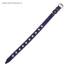 Ошейник однослойный безразмерный, 45×2 см, ОШ 18-39 см, кожа, синий - Фото 4