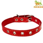 Ошейник кожаный однослойный безразмерный, 45×2 см, ОШ 18-39 см, красный - Фото 2