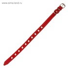 Ошейник кожаный однослойный безразмерный, 45×2 см, ОШ 18-39 см, красный - Фото 4