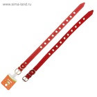 Ошейник кожаный однослойный безразмерный, 45×2 см, ОШ 18-39 см, красный - Фото 6