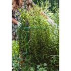 Кустодержатель, d=50 см, h=100 см, ножка d=1 см, металл, зелёный, троеножка - Фото 2