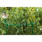 Кустодержатель, d=50 см, h=100 см, ножка d=1 см, металл, зелёный, троеножка - Фото 4