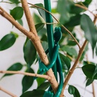 Подвязка для растений «Лягушка», набор 2 шт., зелёная, Greengo - Фото 10