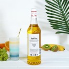 Сироп Royal Cane «Дыня», 1 л - Фото 2