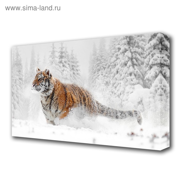 Картина на холсте "Тигр в снегу" 60*100 см - Фото 1