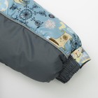 Комплект детский (Куртка + Полукомбинезон), рост 80 см, цвет серый(собаки) - Фото 6