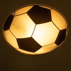 Светильник настенно-потолочный "Мяч" 2 лампы E27 40Вт д.300 h.5,5 см. - фото 9672190